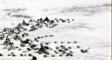nenets's video screenshot thumbnail