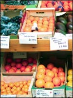 Organic veg