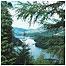 Queen Elizabeth Forest c/o Forestry Commission