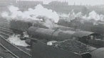 Tren Stem