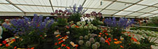 Spring Gardening Show 2006