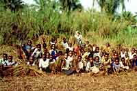 Children gather the grass cuttings by hand to clear the new airstrip