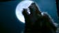Listen: "Howl!"