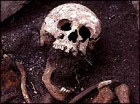 skeleton