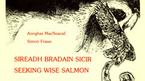 Sireadh Bradain Sicir