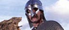 Image of Viking warrior