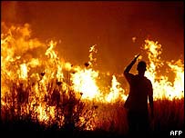 Fires, Portugal