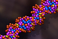 DNA