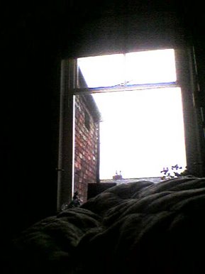 Morning Stockport