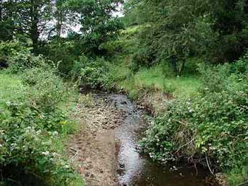 Bovevagh River