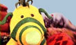 fimbles