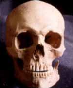 A scary Skull