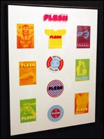 Flesh flyers
