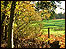 Autumn at Arne, near Wareham