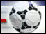 Junior Football