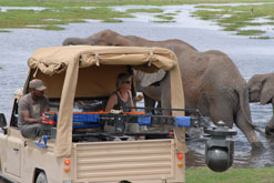 Martha Holmes filming elephants in Kenya