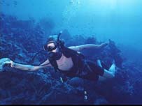 A Scuba diver