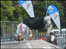 A Blader at Carlisle Skate Jam 2007