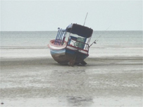 Low tide