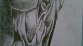 Horse's head...