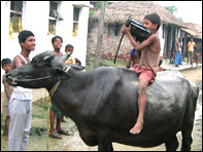 रेडियो