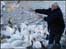 Woman with swans