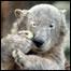 Foto: rbb/Ernst