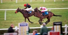 Horse Racing