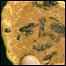 Biscoito de vespas