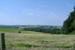 Wessex