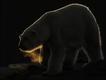 Foto: Digital Camera Photographer of the Year 2010 / Tilly Meijer