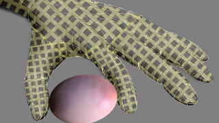 Skin graphic