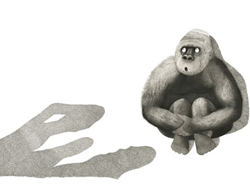 An illustration from Little Beauty by Anthony Browne