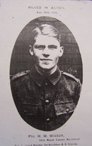 Walter Winsor