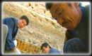 Fossil hunting has become an industry for some Chinese farmers