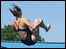 Springboard