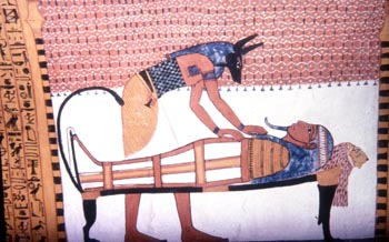 Anubis