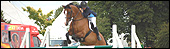 Show jumping