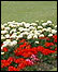 Gardens.