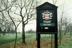 Epping Forest