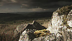 Owain Glyndŵr 
