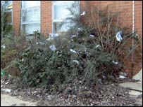 Rubbish at Central Technology College 