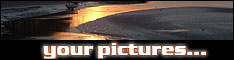 your pictures