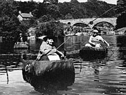 Cyryglau ar y Teifi