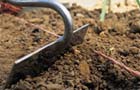 drawing soil