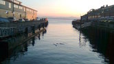 Pier (unfinished)...