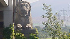 Un o'r llewod ar Bont Britannia