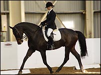 Horse Riding