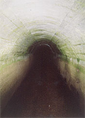 A very uninviting scene for most but it was home to some