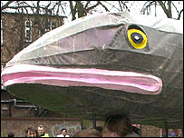Ellie Eel